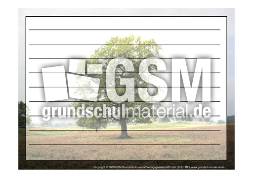 Foto-Schmuckblatt-Bäume-7.pdf